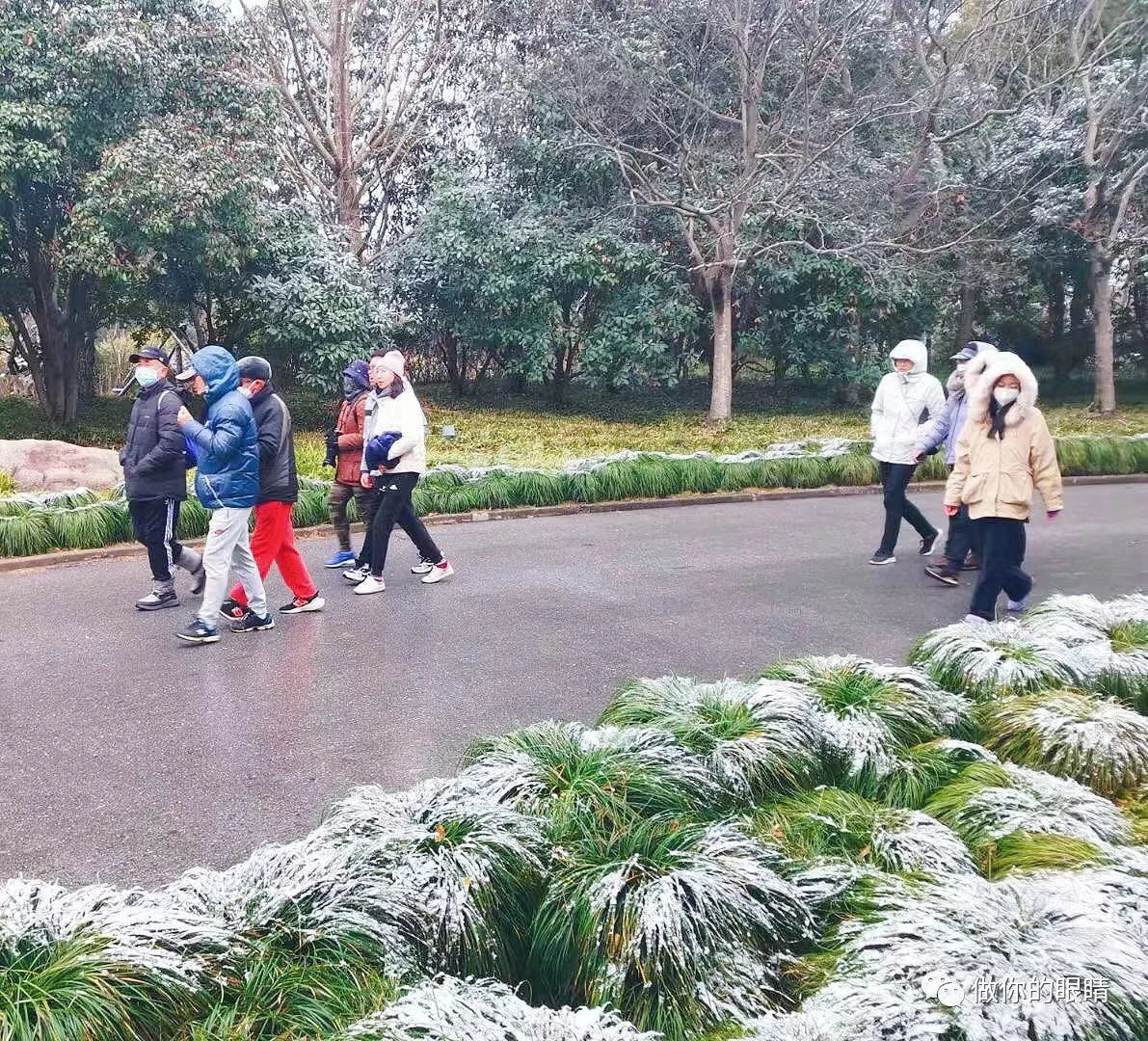 我们与世纪公园的初雪，在雪中慢跑，泽华的姜茶-冬日的温暖 Us and a Snowing Century Park, Running in the Snow, Zehua’s Ginger Tea – Warmth in Winter